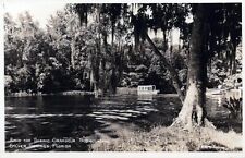 FLORIDA RPPC POSTCARD: Silver Springs Scenic Grandeur 1930 Real Picture   picture