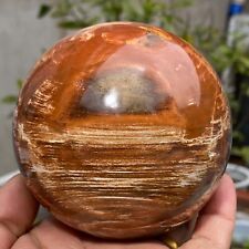 1140g Beautiful Large Petrified Wood Fossil Sphere Crystal Home Decor Specimen picture