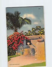 Postcard Red Bougainvillea Vine Florida USA picture