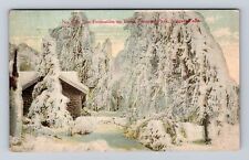 Niagara Falls NY-New York, Ice Formation Trees, Prospect Park, Vintage Postcard picture