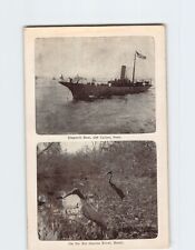 Postcard Dispatch Boat Off Callao Peru & On the Rio Janeiro River Brazil picture