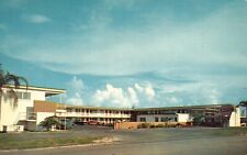 Postcard FL Clearwater Shelby Plaza Motel Old Cars Chrome Vintage PC f3921 picture