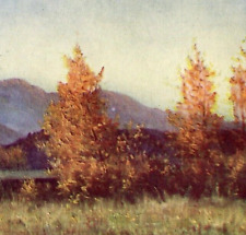 Vintage Postcard Undivided Back Scenic Painting Fall Autumn in Colorado CO picture