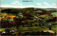 1948 Aerial Birds Eye View Farm Parksville New York NY Vintage Posted Postcard picture