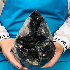 4.62LB Natural Dragon Septarian Geode Grow With Calcite Crystal Mineral Specime picture