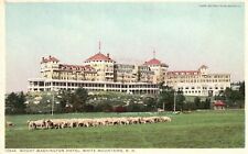 Vintage Postcard Mount Washington Hotel Sheeps White Mountains New Hampshire NH picture