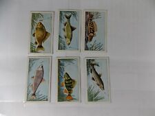 Lot of 6 Barratt Bassett Trade Cards Space Fish & Bait 1962 picture