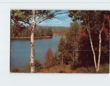 Postcard Crystal Clear Lake USA picture