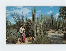 Postcard Desert Botanical Garden Arizona USA picture