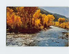 Postcard Golden Autumn in Fishing Country Landscape Nature Trees Plants River picture