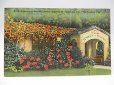 Vintage FLORIDA Postcard - Turner's Sunken Gardens, St. Petersburg - PM 1951 picture