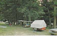 Camping at Cook Forest State Park - Pennsylvania - pm 1968 picture
