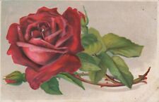 Red Roses Flowers Embossed Greetings Posted Divided Back Vintage Post Card picture