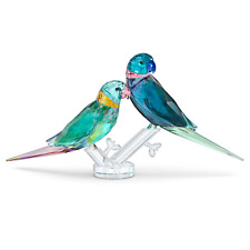 Swarovski Crystal Jungle Beats Parakeet Couple Fife & Fifer #5577124~ New in Box picture