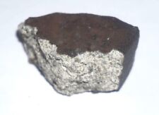 SUPERB 43g NWA 4823 LL3.3 CHONDRITE METEORITE SUPERB, FROTHY, FRESH FUSION CRUST picture