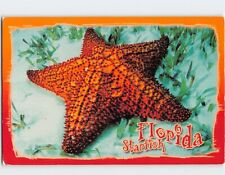 Postcard Florida Seastar picture