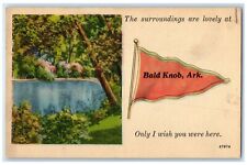 c1940's The Surroundings Are Lovely Lake Groves Bald Knob Arkansas AR Postcard picture