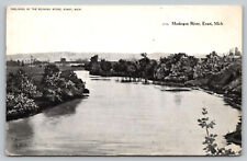 Evart Mi  Michigan - Muskegon River - Osceola County - Postcard 1908 picture