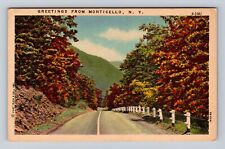 Monticello NY-New York, Scenic General Road Greetings, Antique Vintage Postcard picture