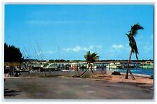 c1960's Boynton Inlet Docks Boynton Beach Florida FL Unposted Vintage Postcard picture