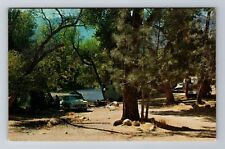 CA-California, Public Camp Grounds On Kern River, Antique, Vintage Postcard picture