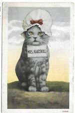 12. Mrs. Kaatskill Cat from early 1900's, unused picture