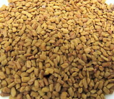 Fenugreek Seed Culinary 1/4 oz Herb Flavoring Cooking Curry Indian Health Tea  C picture