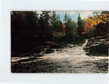 Postcard Autumn View, Silver River Falls, Michigan picture