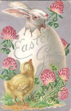 Postcard Easter Greetings Bunny Clover Chick  1910 picture