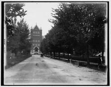 Madison, Wisconsin, University of Wisconsin c1900 OLD PHOTO picture