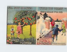 Postcard Winter in Florida USA Weather Difference Humor Card picture