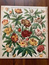Antique 1860s French Original Embroidery/Tapestry Vapor Lithography pattern picture