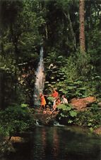 Dunnellon Florida, Rainbow Falls, Two Couples, Vintage Postcard picture