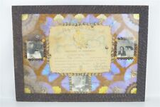 Vintage Hand Crafted Wood & Butterfly Frame Brazil American Airlines Certificate picture