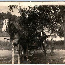 ID'd c1910s 2 Men & Bronco the Horse RPPC Bill Wilkinson Harry Hubler Photo A154 picture
