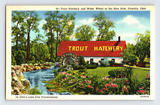 Postcard Ohio Castalia OH Trout Hatchery Water Wheel Blue Hole 1940s Unposted  picture