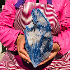 3.52LB Rare Natural Beautiful Blue Kyanite With Quartz Crystal Specimen 624 picture