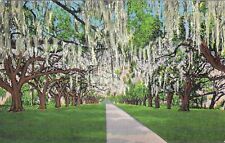 Vintage Louisiana Linen Postcard De La Ronde Oaks Versailles Plantation Orleans picture