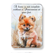 Pomeranian Dog Magnet Graphic Watercolor Art Print 3