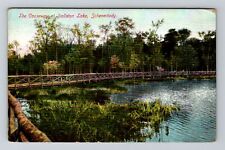 Schenectady NY-New York, Causeway at Ballston Lake, c1909 Vintage Postcard picture
