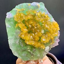1.88LB Rare transparent green-golden cubic fluorite mineral crystal sample/China picture
