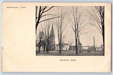 Branford Connecticut CT Postcard Branford Green General View Trees 1905 Vintage picture