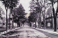Cobleskill New York Grand Street Antique GV Millar & Co Postcard picture