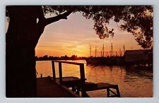 FL-Florida, Sunset over the Water, Fishing Pier, Vintage Postcard picture