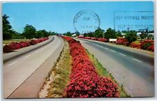 Vintage c1971 Postcard - Beautiful Oleanders on Highway 99, Fresno, CA picture