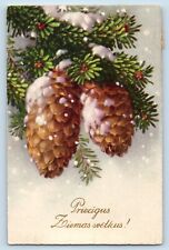 Latvia Postcard Christmas Pinecone Snowfall Winter Scene c1910's Antique Posted picture