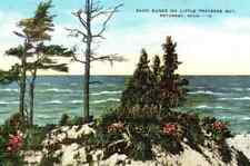 Petoskey MI Michigan, Sand Dunes on Little Traverse Bay - 1950 Vtg Postcard picture