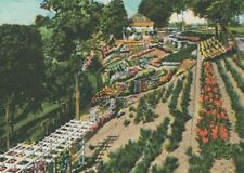 c1930s Barrose Terrace Botanical Gardens Lancaster Pennsylvania birds eye E165 picture