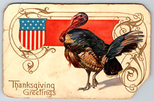 c1910s Thanksgiving Greetings Turkey Embossed Antique Postcard picture