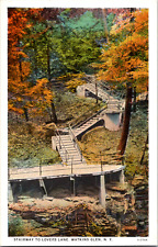 Vintage C. 1920's Stairway Lovers Lane Watkins Glen Park NY Postcard Fall Time picture
